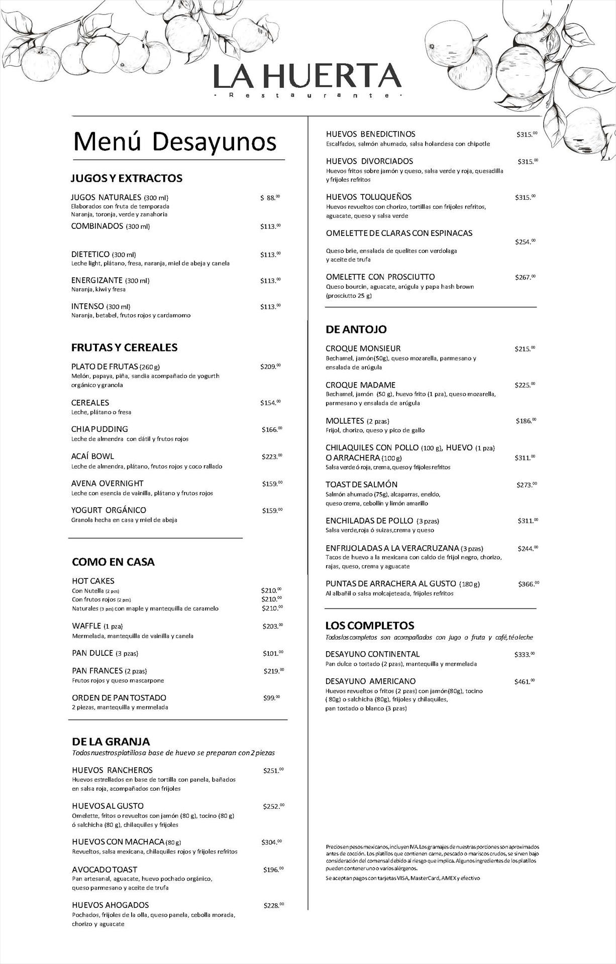 Menu1Esp.jpg