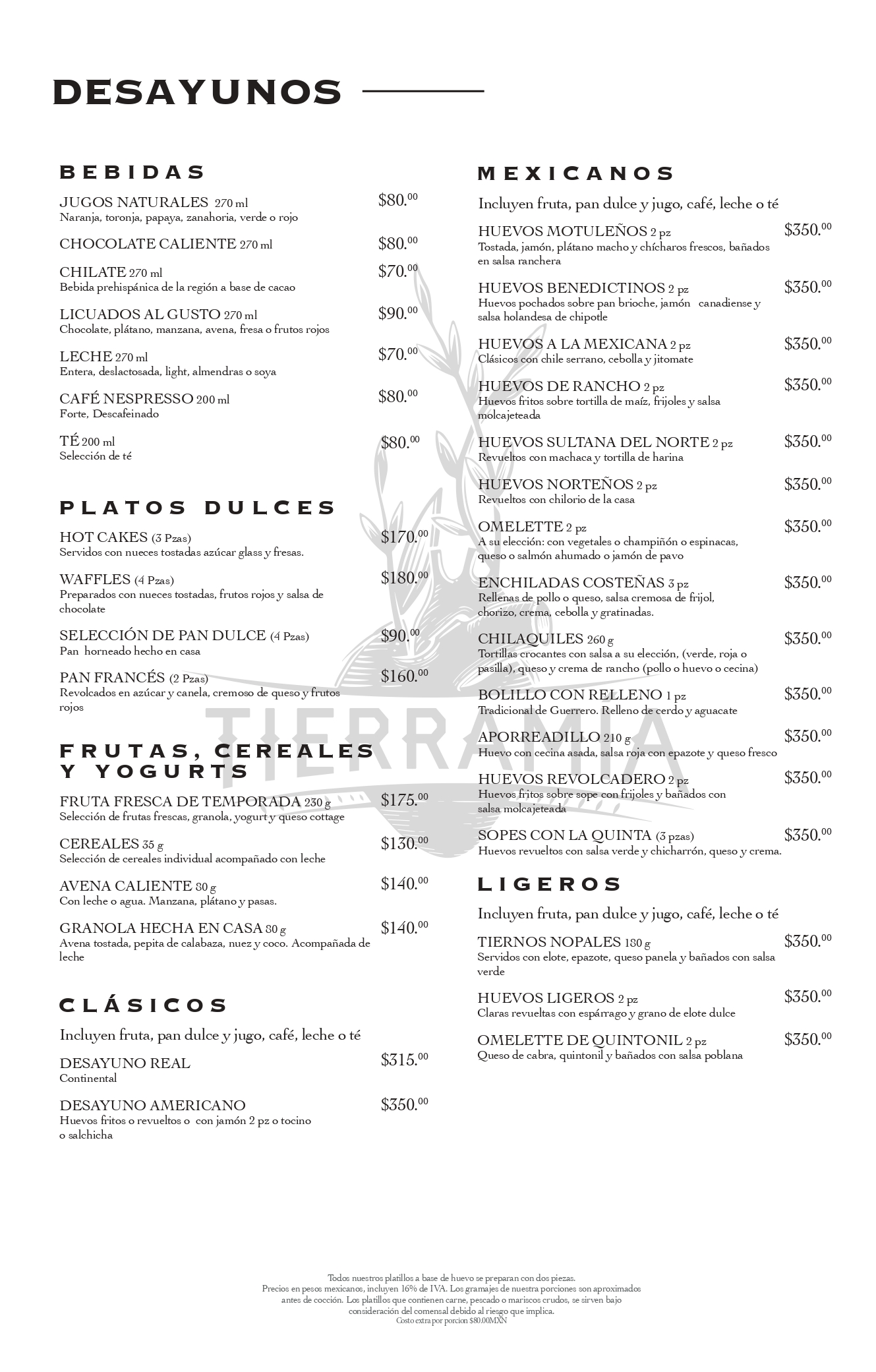 Menu1Esp.jpg