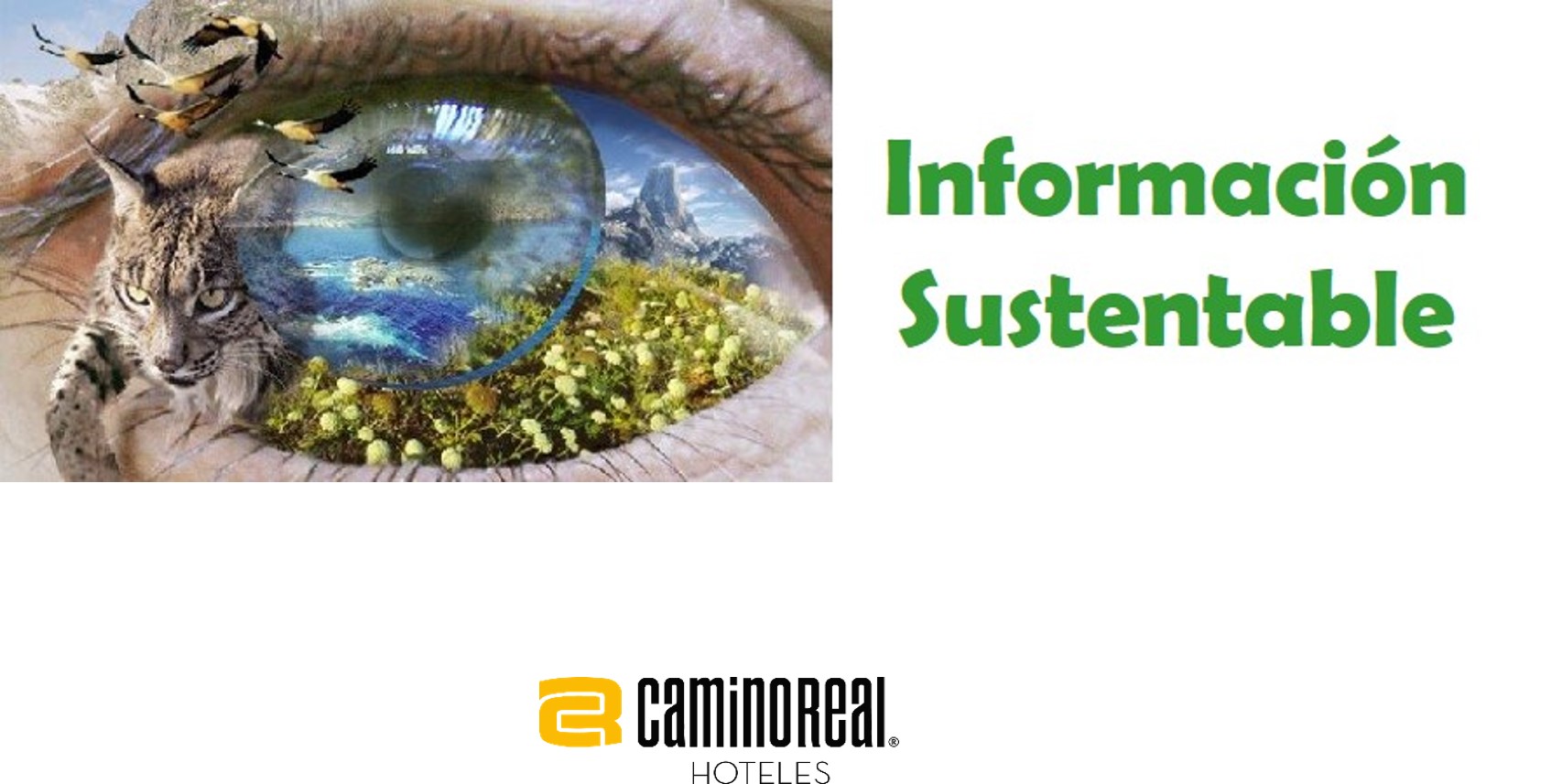 Información Sustentable